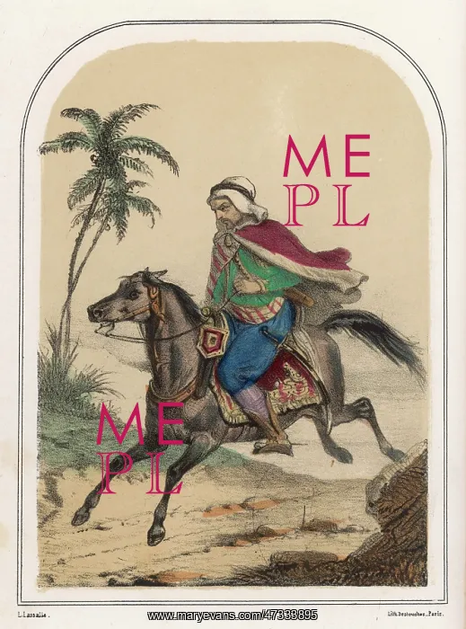  : RIDING ARAB HORSE C1850