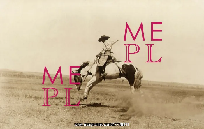  : Riding Bucking Bronco