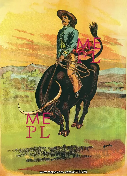  : Riding Bucking Steer