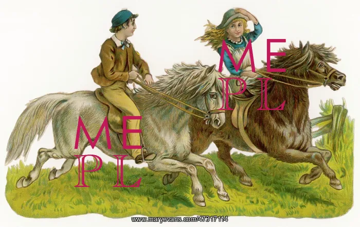  : RIDING CHILDREN SCRAP