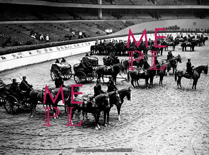 : Riding and Driving competition of the SS in Berlin, 1936 : Riding and Driving competition of the SS in Berlin, 1936