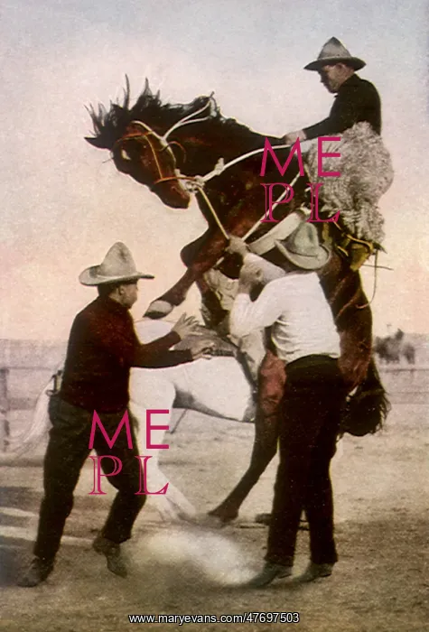  : Riding an Outlaw
