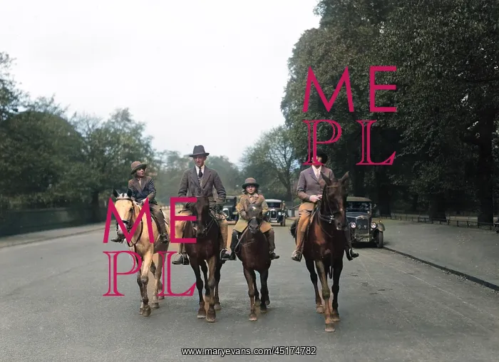 : Riding in the Rows : Riding in the Rows