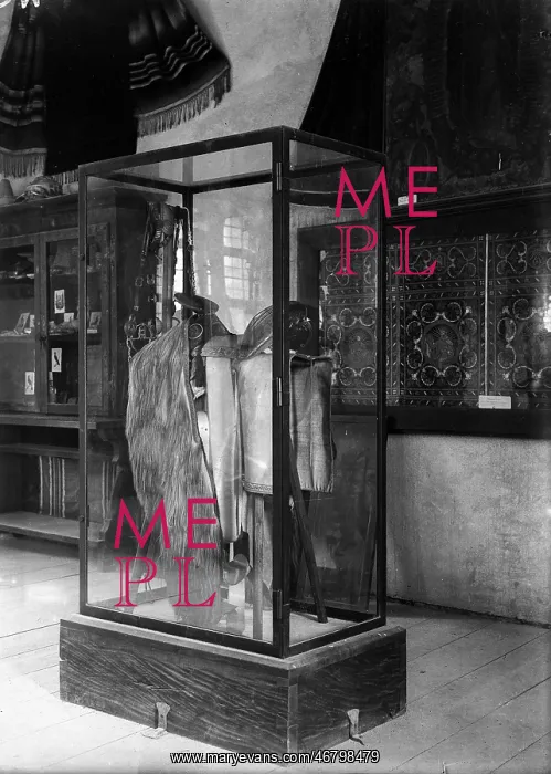 : Riding saddle in a showcase : Riding saddle in a showcase