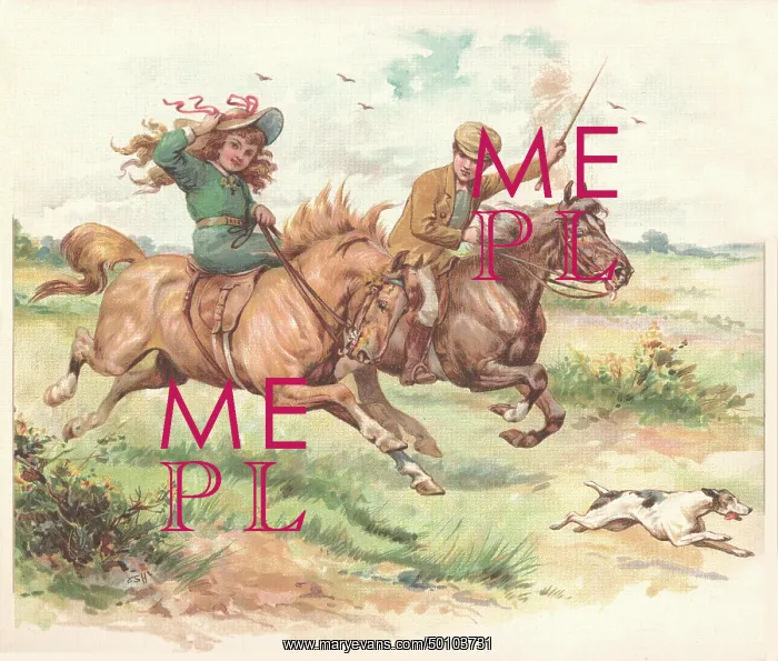 : Riding Sidesaddle : Riding Sidesaddle