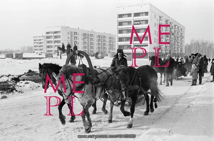 : Riding troika : Riding troika