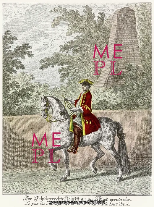  : RIDINGER HAUTE ECOLE 6