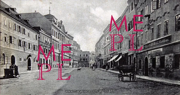 : Ried. Ross Market. About 1905. Collotype and : Ried. Ross Market. About 1905. Collotype and
