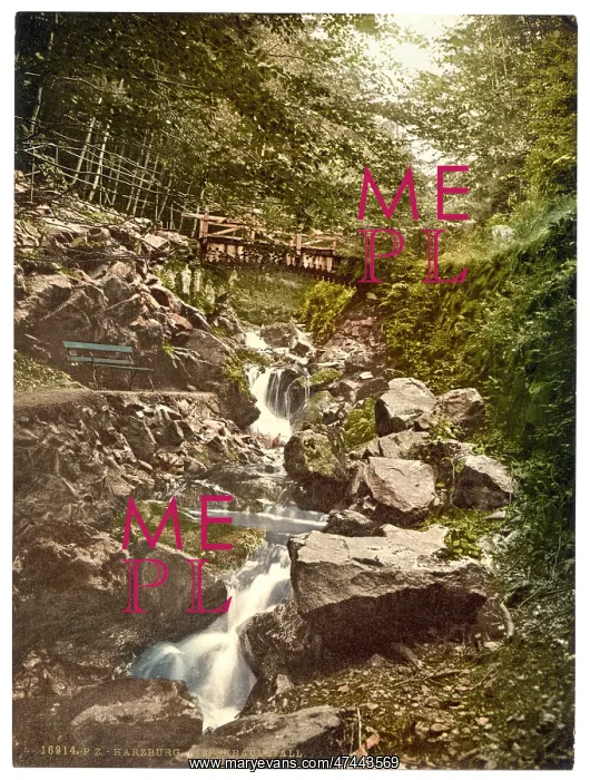 : Riefenbachsfall, Harzburg, Hartz, Germany : Riefenbachsfall, Harzburg, Hartz, Germany