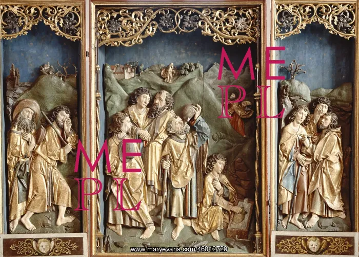 : Riemenschneider, Tilman : Riemenschneider, Tilman