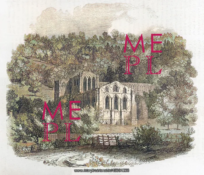 : Rievaulx Abbey 1845 : Rievaulx Abbey 1845