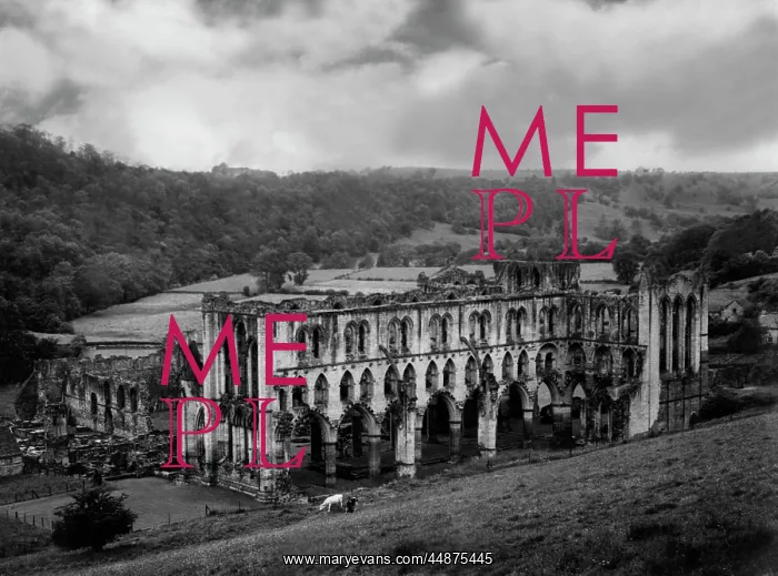 : RIEVAULX ABBEY : RIEVAULX ABBEY