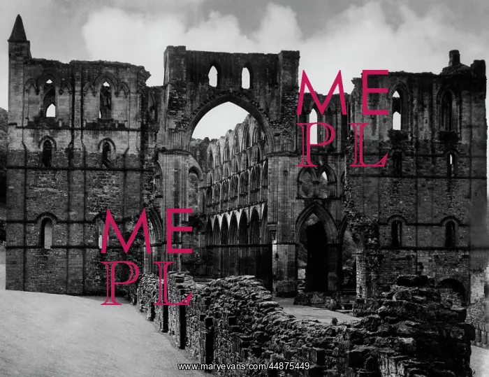 : RIEVAULX ABBEY : RIEVAULX ABBEY
