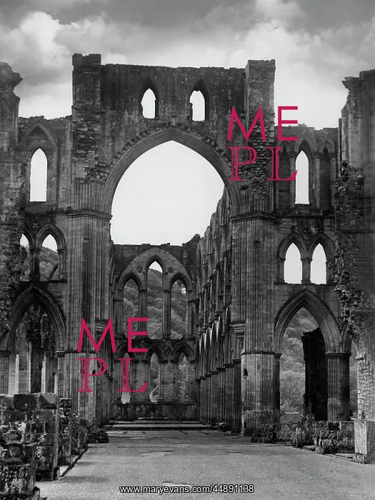 : RIEVAULX ABBEY : RIEVAULX ABBEY