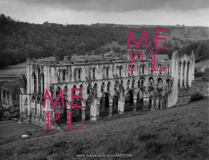 : RIEVAULX ABBEY : RIEVAULX ABBEY