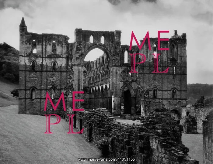 : RIEVAULX ABBEY : RIEVAULX ABBEY