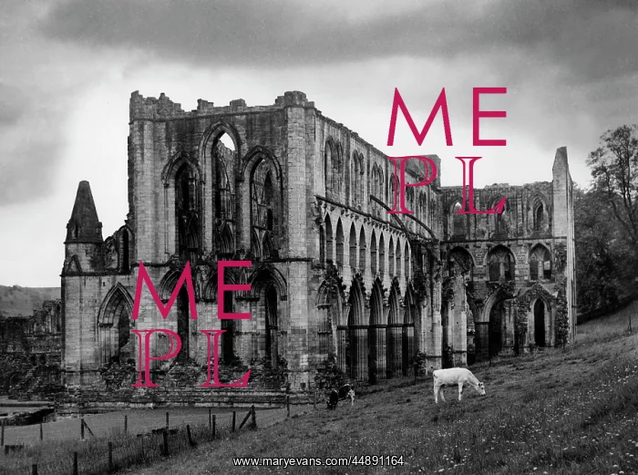: RIEVAULX ABBEY : RIEVAULX ABBEY