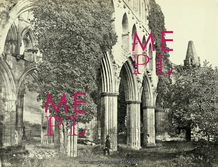 : Rievaulx Abbey : Rievaulx Abbey
