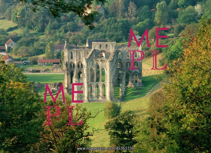 : Rievaulx Abbey : Rievaulx Abbey