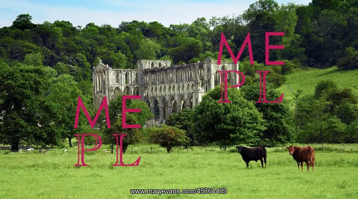 : Rievaulx Abbey : Rievaulx Abbey