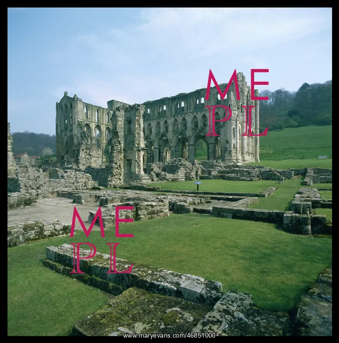 : RIEVAULX ABBEY : RIEVAULX ABBEY