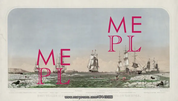 : Right whaling in Behering Straits & Arctic Ocean with its va : Right whaling in Behering Straits & Arctic Ocean with its va