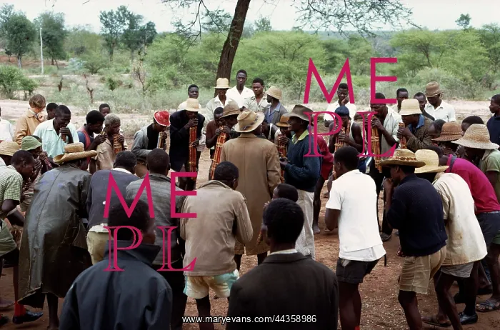 : A ring dance in progress, Nyungwe, Andrew Tracey : A ring dance in progress, Nyungwe, Andrew Tracey
