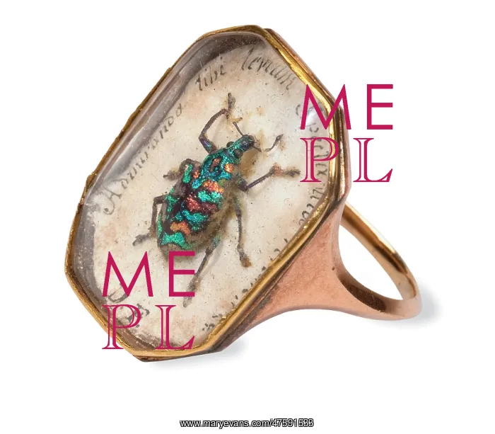: Ring with a weevil set in : Ring with a weevil set in