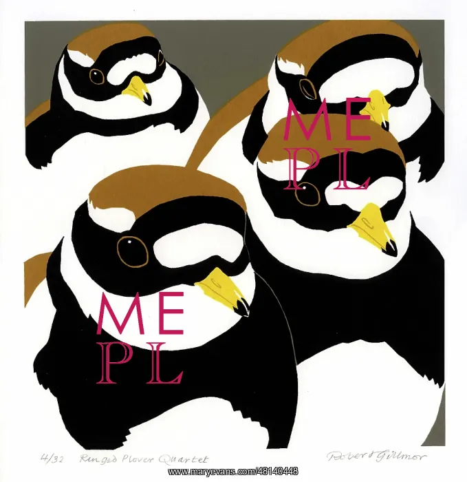 : Ringed Plover Quartet - screenprint by Robert Gillmor : Ringed Plover Quartet - screenprint by Robert Gillmor