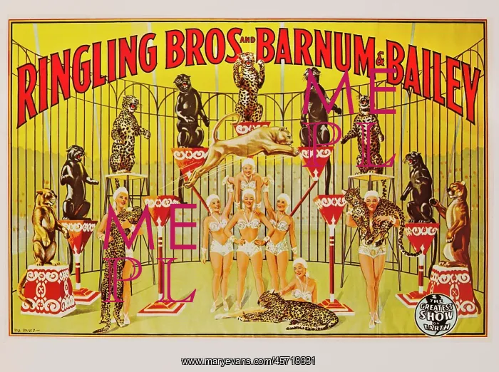 : Ringling Brothers - Barnum & Bailey - circus : Ringling Brothers - Barnum & Bailey - circus