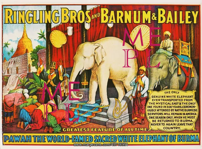 : Ringling Brothers - Barnum & Bailey - circus : Ringling Brothers - Barnum & Bailey - circus