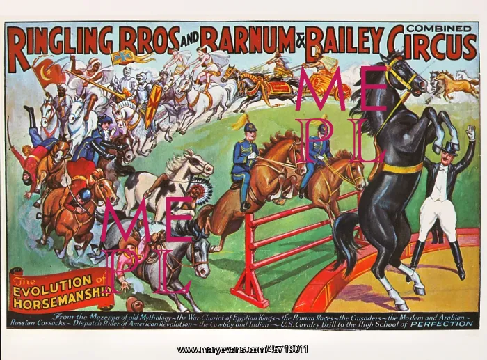 : Ringling Brothers - Barnum & Bailey - circus : Ringling Brothers - Barnum & Bailey - circus