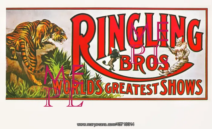 : Ringling Brothers - circus : Ringling Brothers - circus
