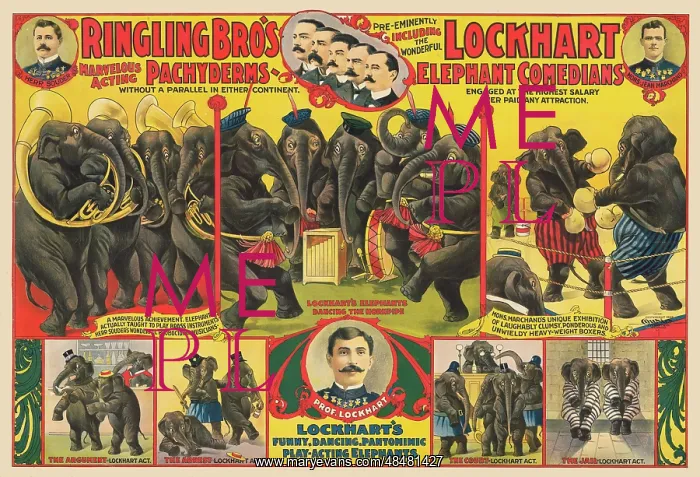 : Ringling Brothers circus poster - elephants performing : Ringling Brothers circus poster - elephants performing