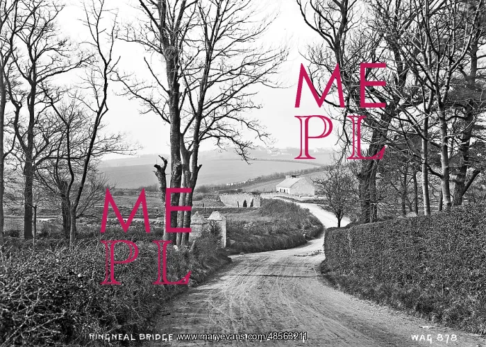 : Ringneal Bridge and Mahee Road, Comber : Ringneal Bridge and Mahee Road, Comber