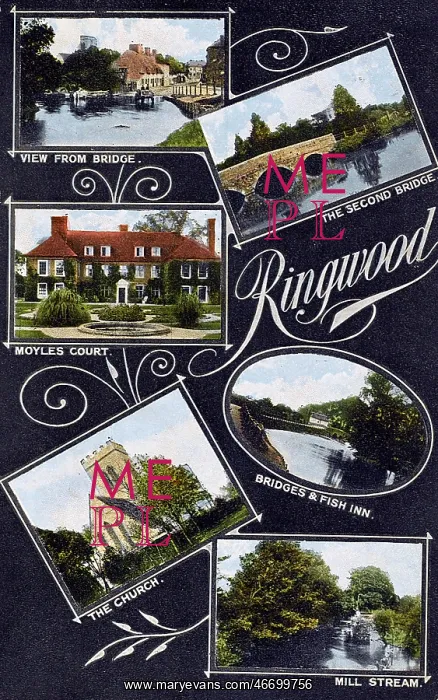  : Ringwood, Hampshire - Various sights