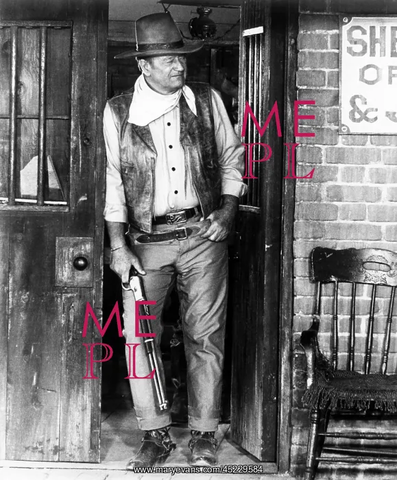: RIO LOBO, John Wayne, 1970.. ? : RIO LOBO, John Wayne, 1970.. ?