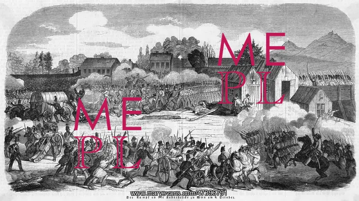 : RIOTING IN VIENNA : RIOTING IN VIENNA