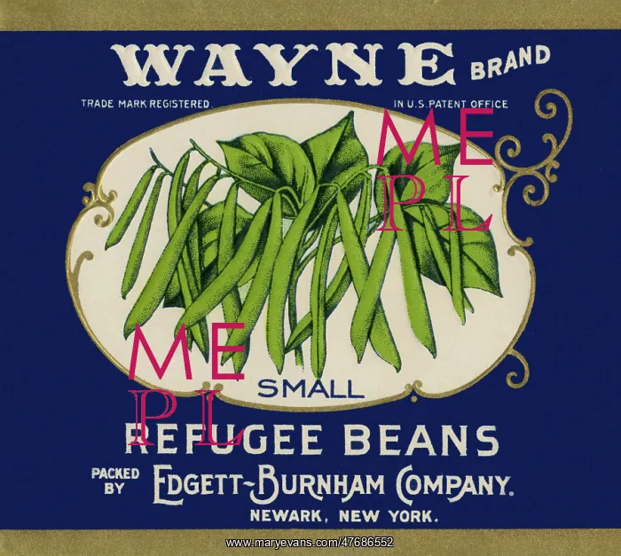  : Ripe Green Beans