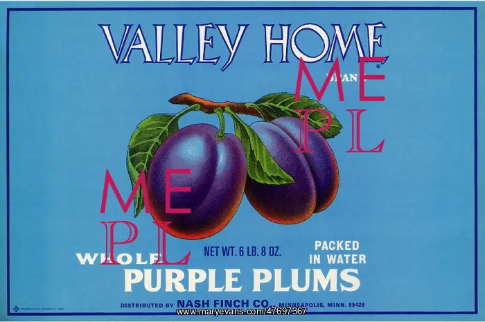  : Ripe Plums