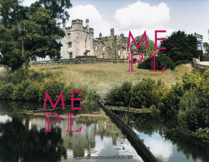 : RIPLEY CASTLE : RIPLEY CASTLE