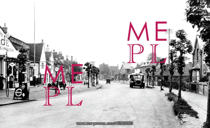  : Ripley, High Street 1929