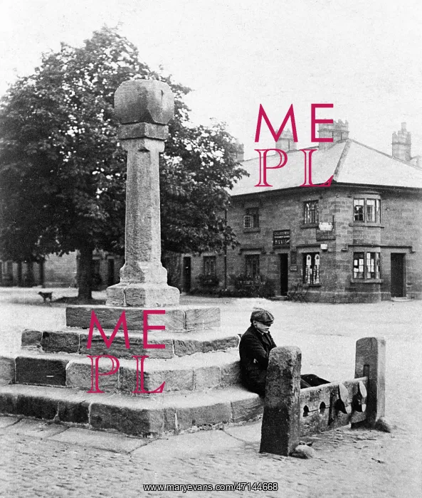  : Ripley The Stocks early 1900s