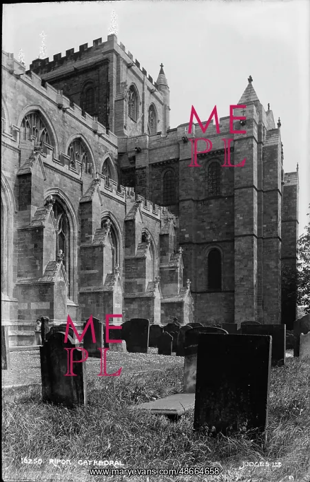 : Ripon Cathedral : Ripon Cathedral
