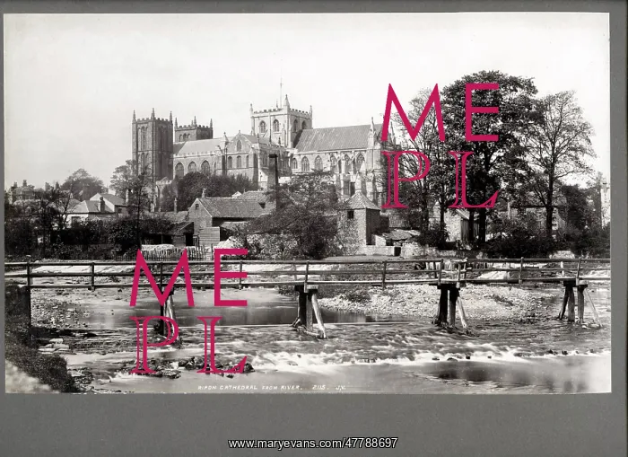: Ripon Cathedral viewed from the river : Ripon Cathedral viewed from the river