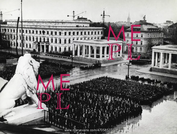 : Rise and Fall of the Nazi Party : Rise and Fall of the Nazi Party