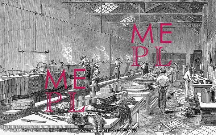 : Ritchie and Mcall's Preserved Meat Establishment, Houndsditc : Ritchie and Mcall's Preserved Meat Establishment, Houndsditc