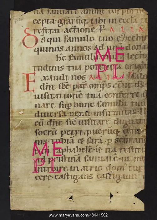 : Ritual (Fragment) : Ritual (Fragment)