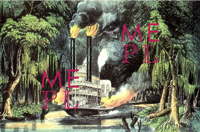  : River Boat in Bayou