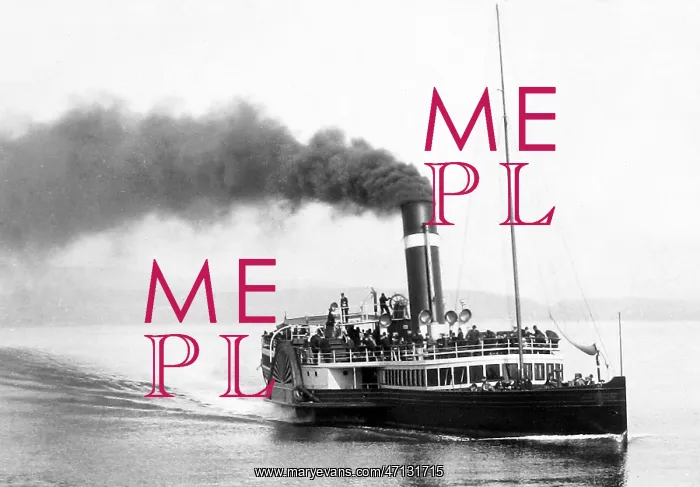  : A River Clyde paddle steamer